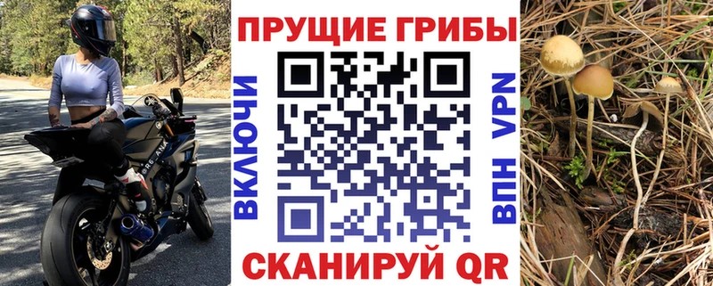Псилоцибиновые грибы MAGIC MUSHROOMS  Курган 