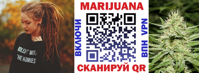 где купить   Курган  Канабис гибрид 